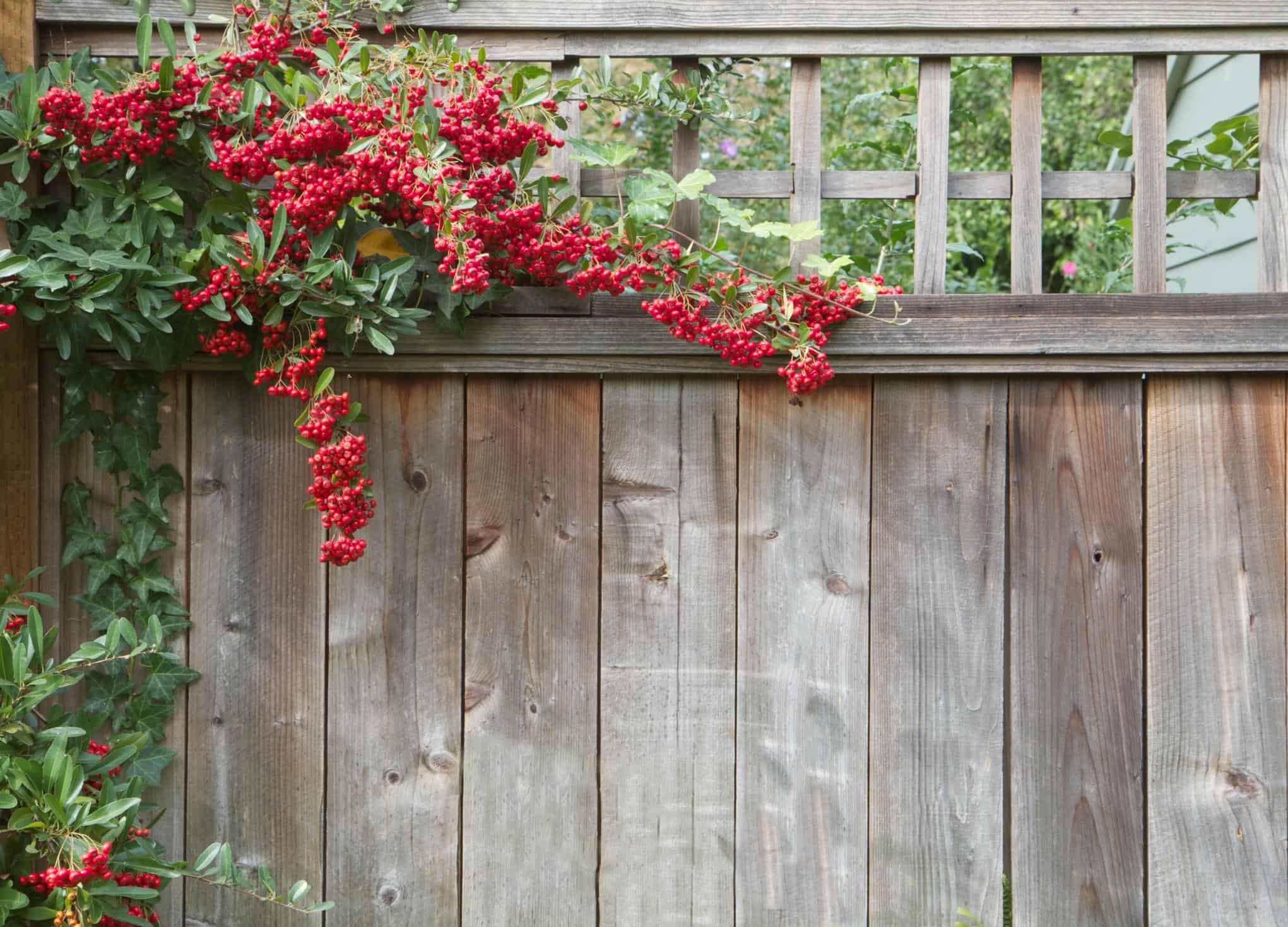 High Point NC Fencing - Wood Fencing and Gates 2 High Point NC Fencing - Wood Fencing and Gates 2